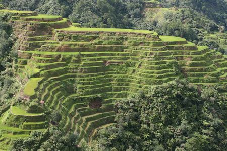 Banaue rice terraces (N. Luzon, Philippines) taken from observation point at beginning of road to Bontoc