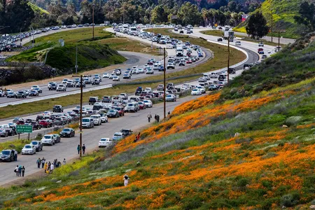 Wildflower enthusiasts waiting to exit toward Walker Canyon on March 9, 2019. 