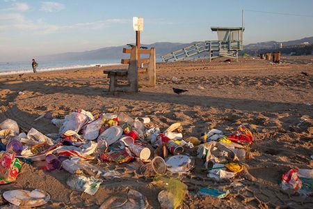 The Santa Monica State Beach is an allegory of North American consumerism. Every morning, cleaners collect chip bags, takeout containers, plastic straws, and more, hiding tonnes of trash from beachgoers who may never know the magnitude of the problem.