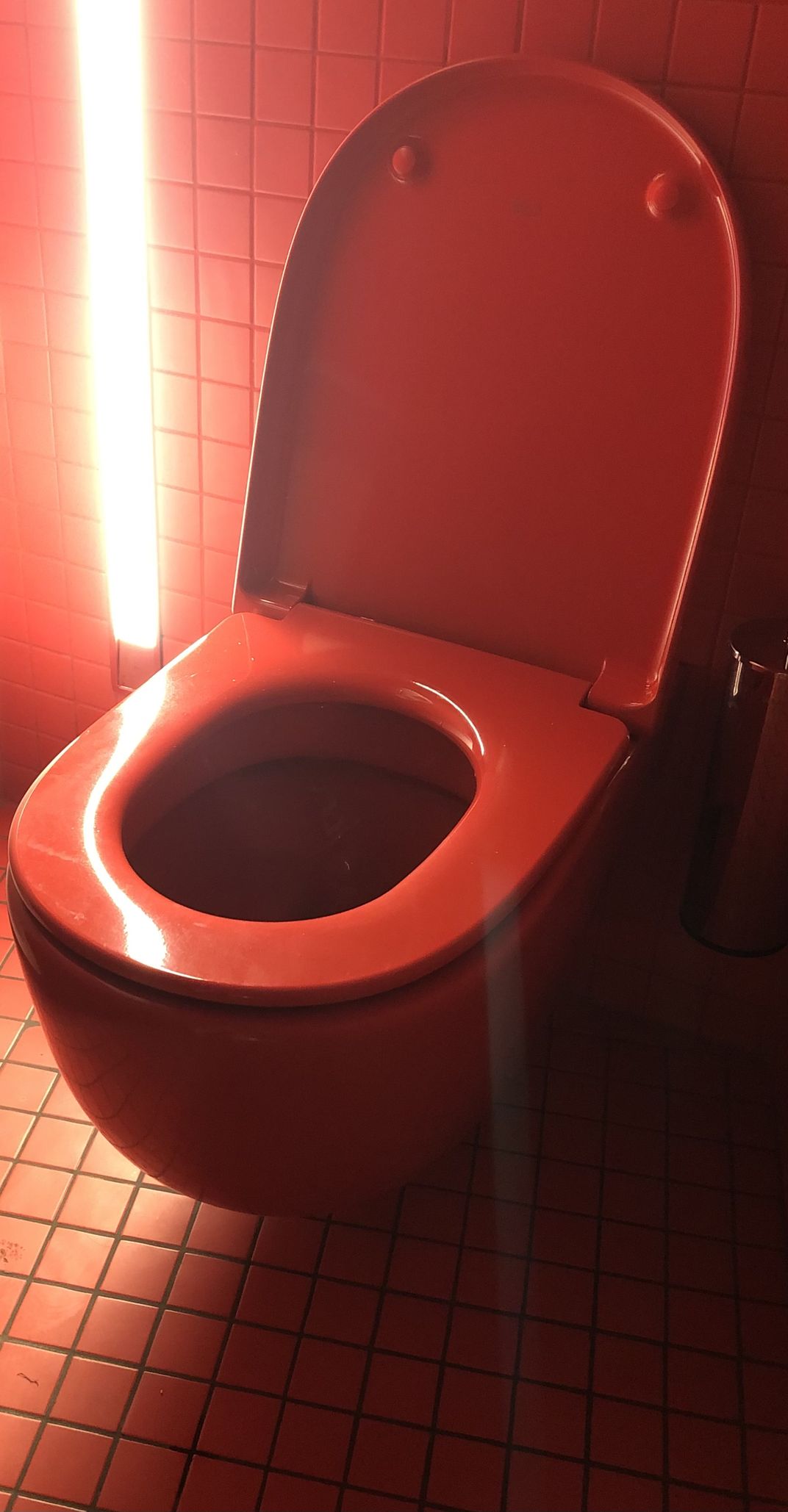 Toilet at Tour Eiffel Smithsonian Photo Contest Smithsonian Magazine