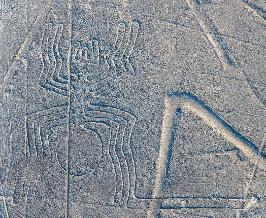 Nazca Condor Geoglyph Pewter Pin Badge 