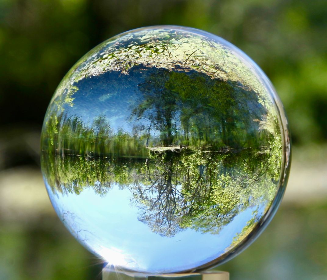 Reflection of Silver Springs | Smithsonian Photo Contest | Smithsonian ...