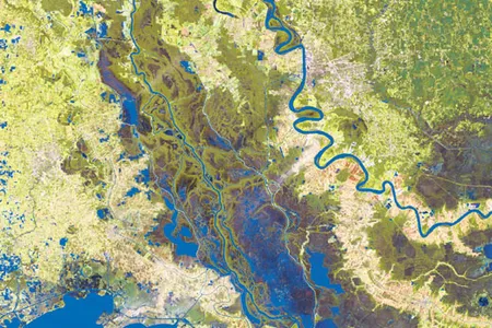 The Atchafalaya Basin (dark green in this satellite image, with the Atchafalaya River running through its center) is almost a million acres of bottomland woods and swamp.