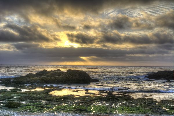 Point Lobos Shore at Sunset thumbnail