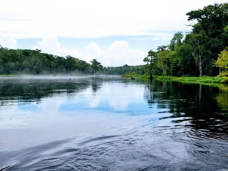 The Wakulla river connected to Wakulla Springs Smithsonian Photo