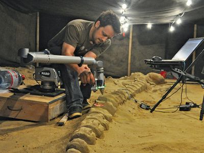 Vince Rossi wields a laser to document a whale fossil in Chile.