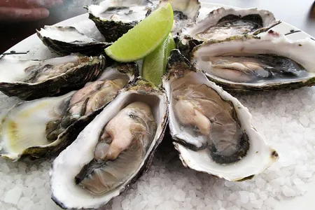 To lower one's risk of contracting infection, avoid eating raw or undercooked shellfish and cover open wounds with bandages before venturing into the water