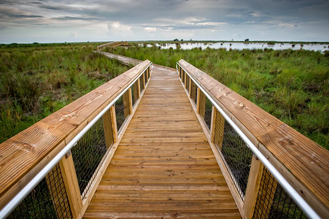 Explore Louisiana's Most Stunning State Parks