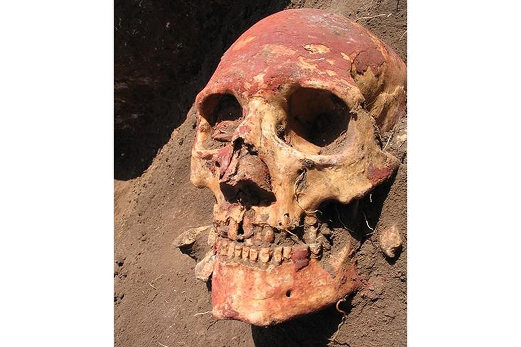 plague-skull.jpg