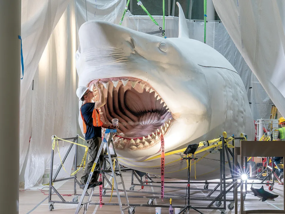 Megalodon opening image