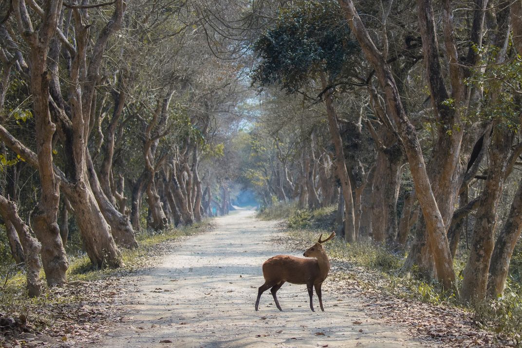 A curious denizen | Smithsonian Photo Contest | Smithsonian Magazine