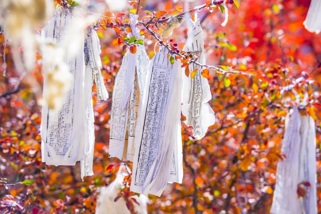 Sutra hanging on branches of trees | Smithsonian Photo Contest ...