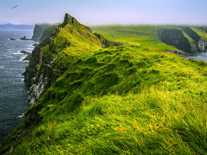 Mykines, Faroe Islands | Smithsonian Photo Contest | Smithsonian Magazine