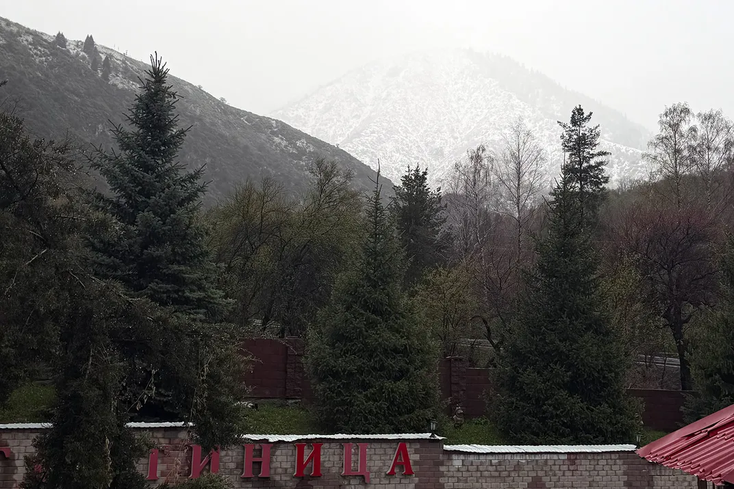 Pine trees and a faintly visible snow-covered mountain. In the foreground, red letters in Cyrillic script on a brick wall.