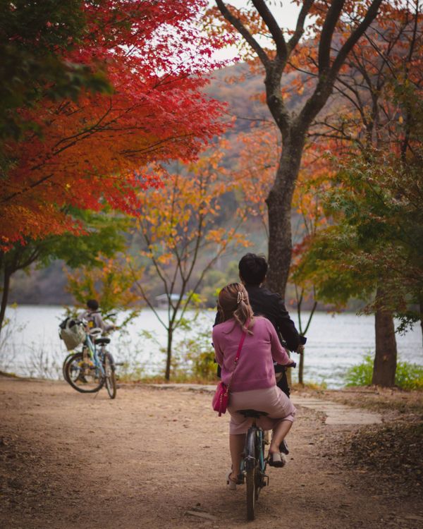 A couple riding a bicycle on Nami Island in the Autumn thumbnail