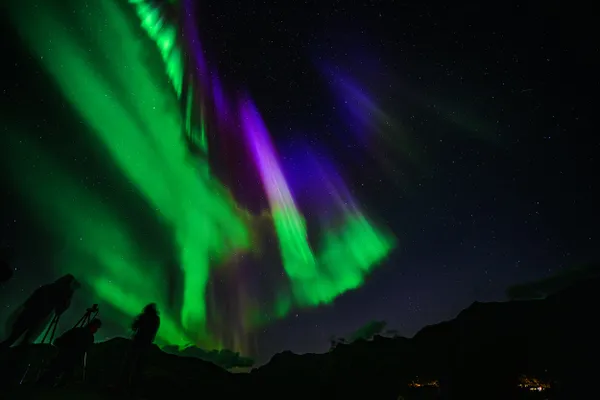 Phantom night light and the gazers thumbnail