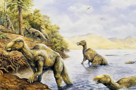 Edmontasaurus, a duckbilled creature weighing around 7,000 pounds that could walk on two or four legs, was an average-sized dinosaur.