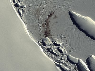 Against the pure white snow of Antarctica, an Emperor penguin colony appears in a QuickBird satellite image as a half-mile-long stain.