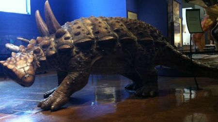 A full-size restoration of what Aletopelta might have looked like, at the San Diego Natural History Museum.