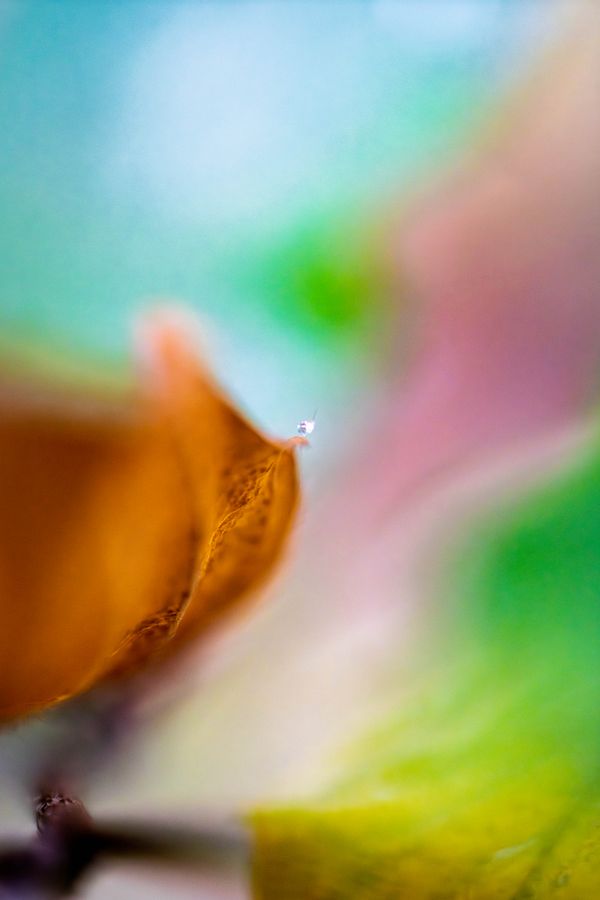 Mette Klint Artistic 3-5 thumbnail