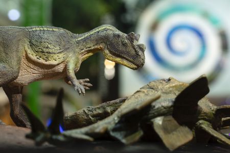 The Smithsonian’s new fossil hall includes myriad stories and details – big and small – about Earth’s 4.6-billion-year history. (Smithsonian Institution)