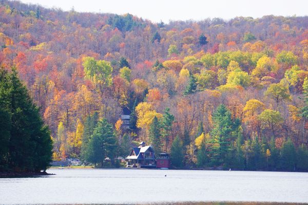 Fall colours thumbnail