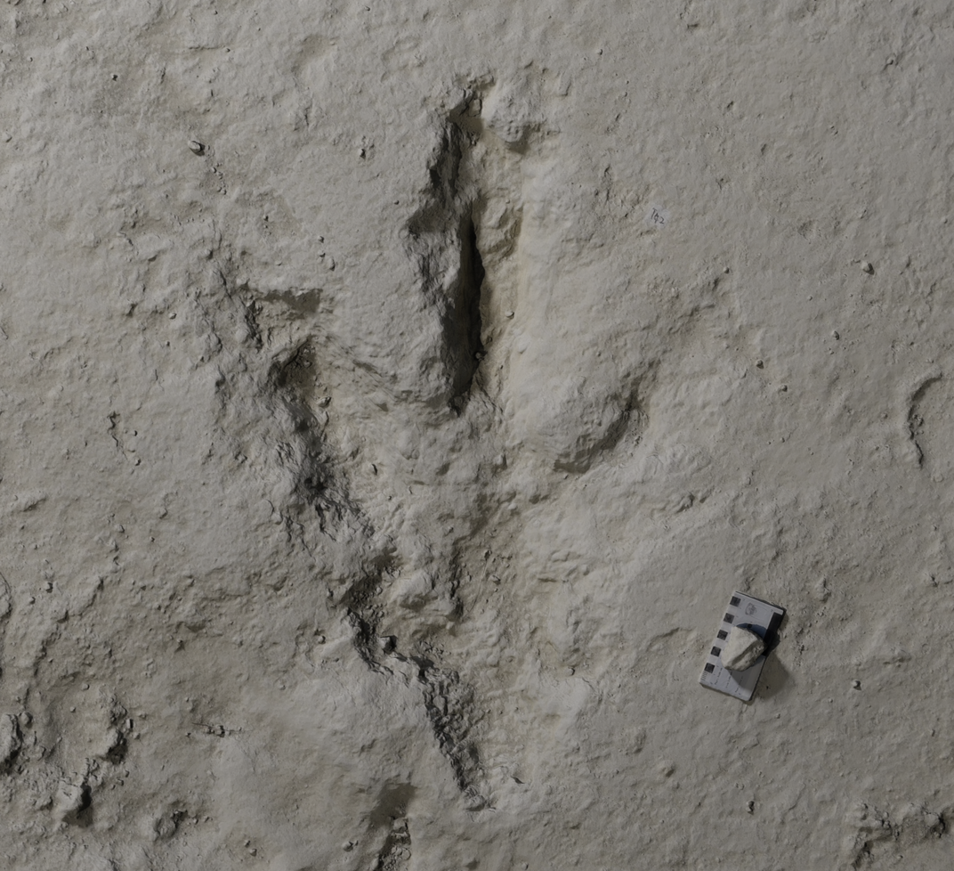one dinosaur footprint
