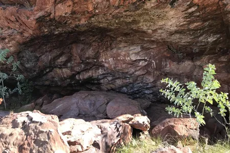 Discovered at the Yilbilinji rock shelter in northern Australia's Limmen National Park, the drawings are between 400 and 500 years old.