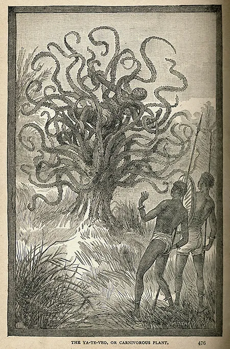 Man-Eating Tree Illustration