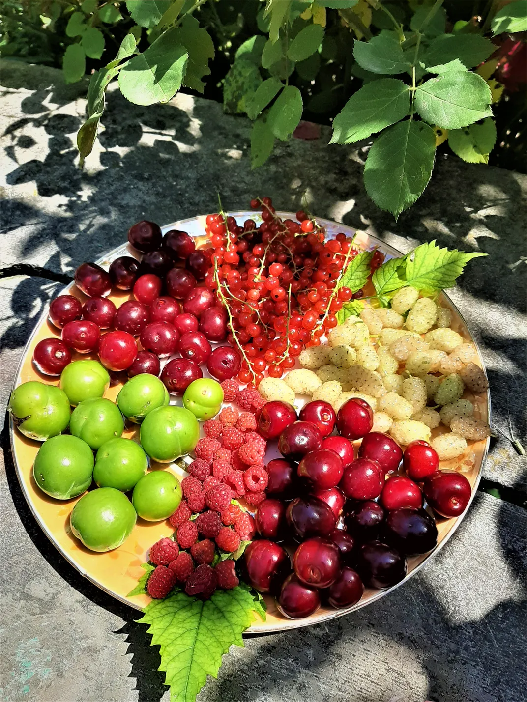 Plate of Berries
