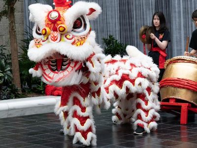 A picture of Lunar New Year festivities in a previous year. 