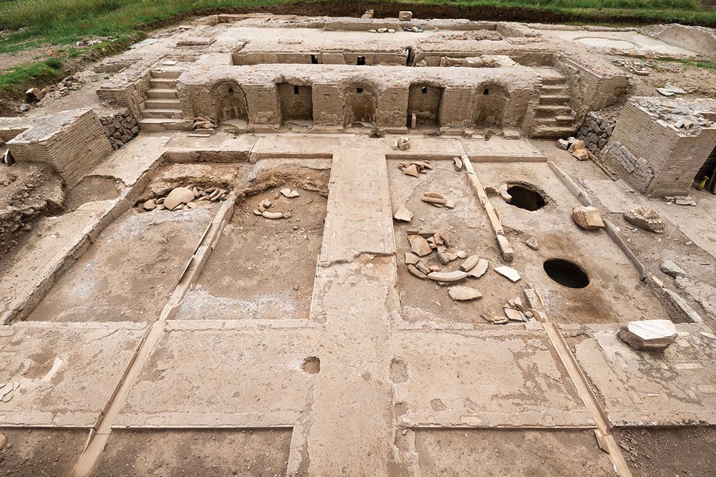 Wine cellar, treading floor and presses