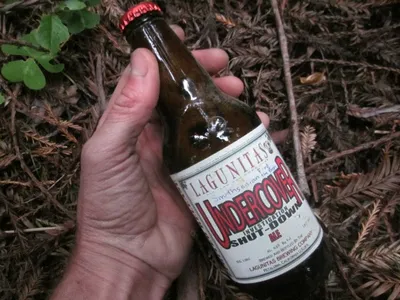 This very bottle of beer lies in a shallow grave of redwood duff in Humboldt Redwoods State Park, in northern California. Can you find it?