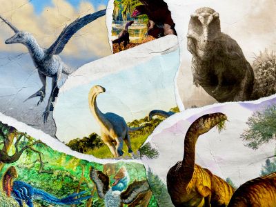 Paleontologists made discoveries about a wide variety of dinosaurs over the past 12 months.