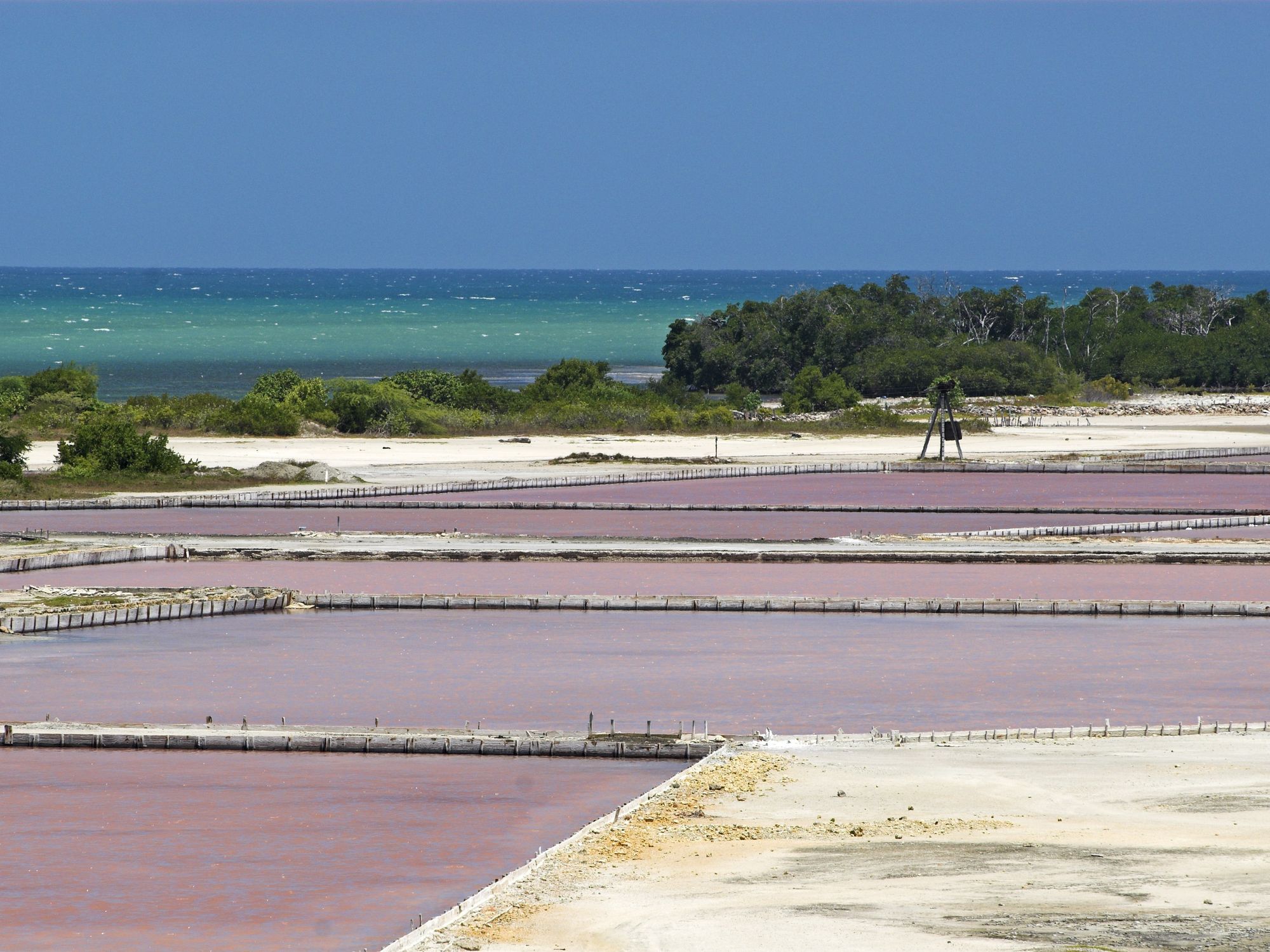 These Salt Flats in Puerto Rico Are Cotton-Candy Pink