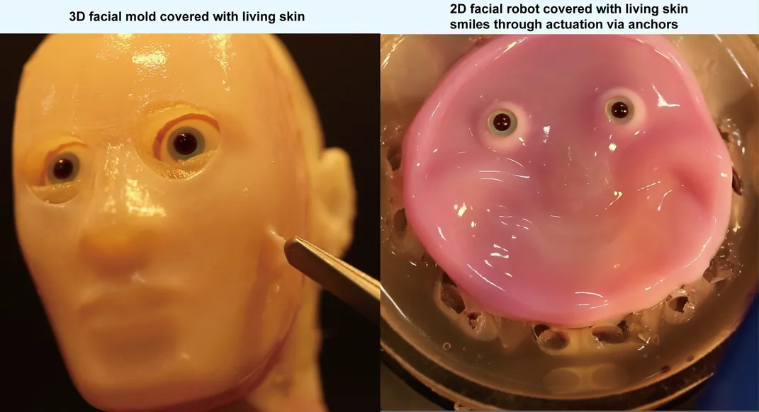 side-by-side images: at the right, the pink smiling face; at the left, an orange skin stuck to a mannequin-like human head