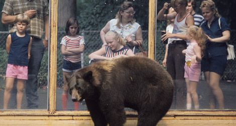 The original Smokey Bear at the Zoo