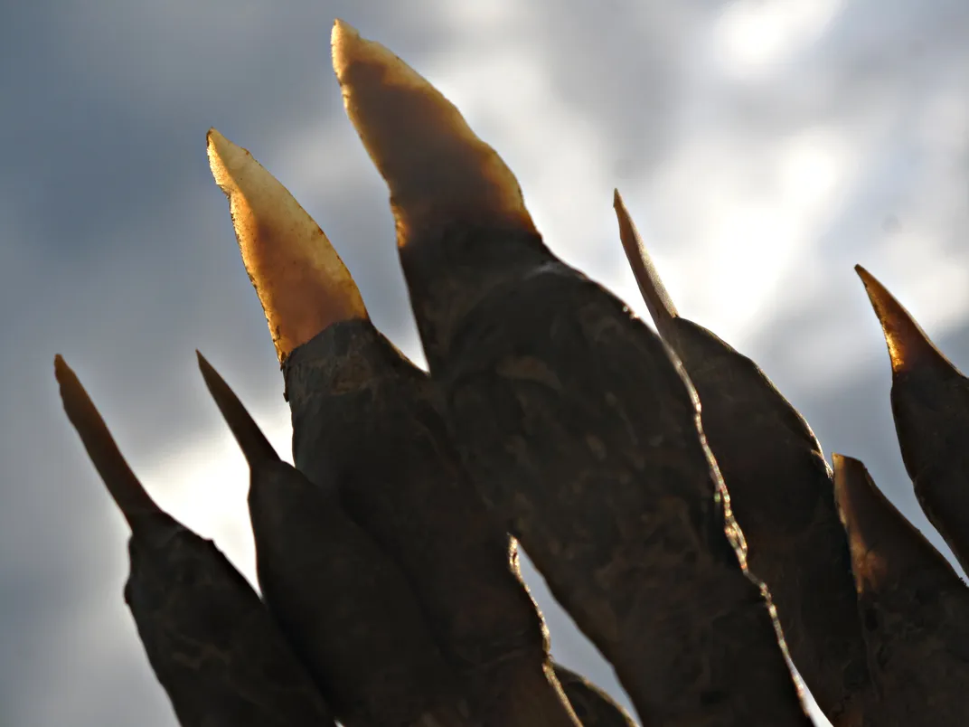 Close-up shot of small arrowheads