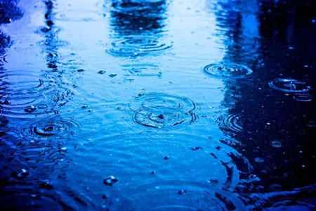 Don't grab the galoshes just yet—experts are still not certain if El Niño will develop this year. 
