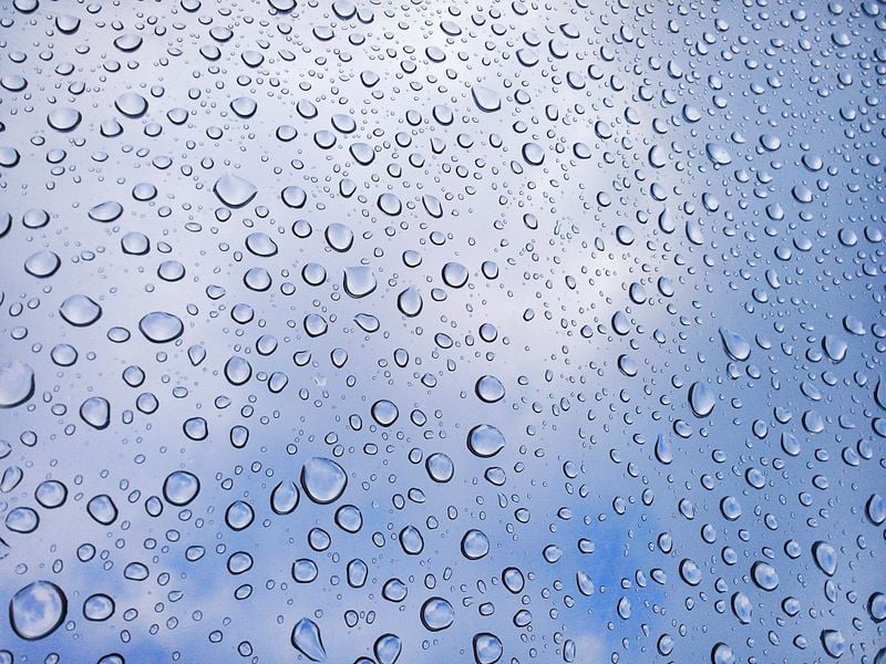 Rain drops and a Blue Sky | Smithsonian Photo Contest | Smithsonian ...