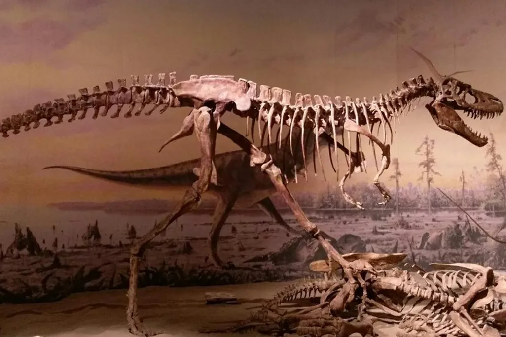 Teenage T. rex