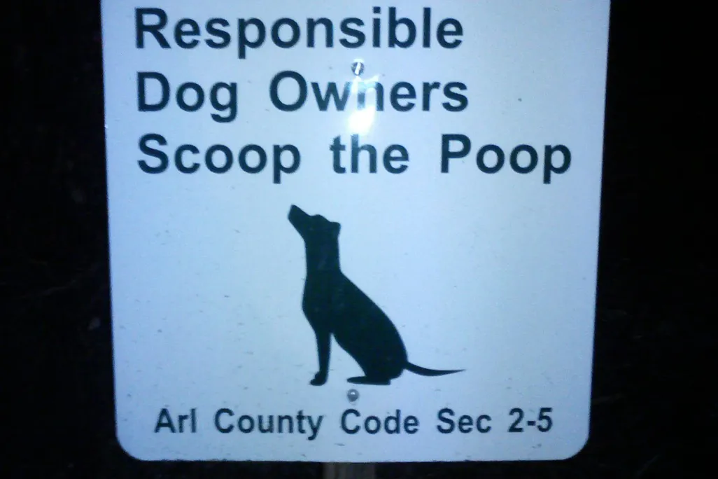 poop.jpg
