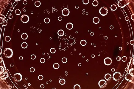 The science behind bubbles in champagne is an active field of research. Here, a red spotlight highlights bubbles growing at the bottom of a goblet, where they stick thanks to surface tension.