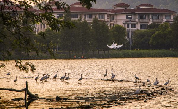 Be jealous and envious of others thumbnail