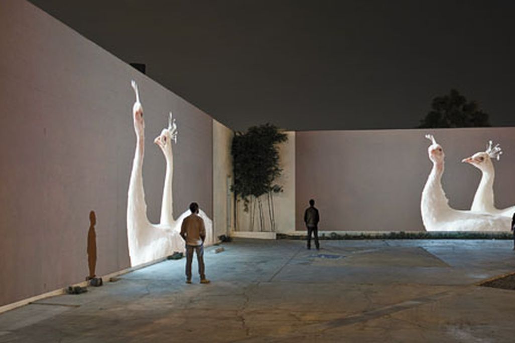 Doug Aitken