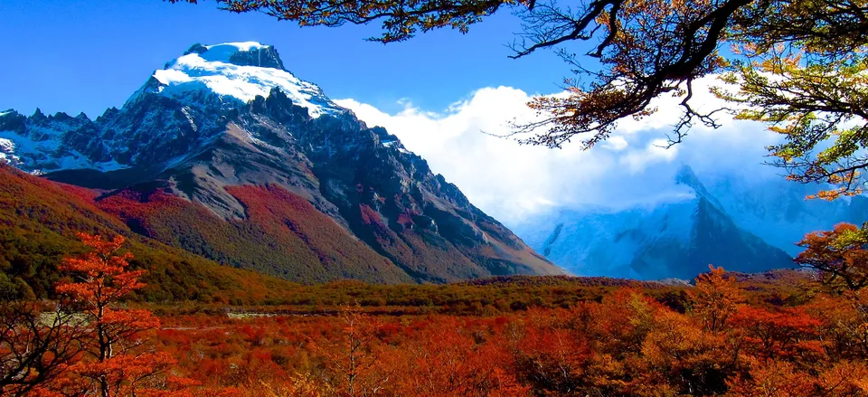  Blazing fall colors of the Andes.  Credit: Diaz Luciano