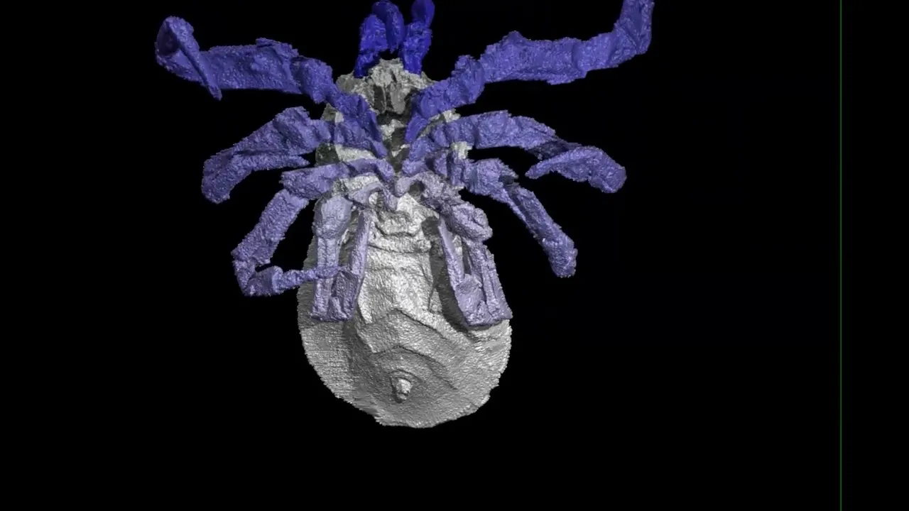 Preview thumbnail for Ambushed by a Prehistoric Spider