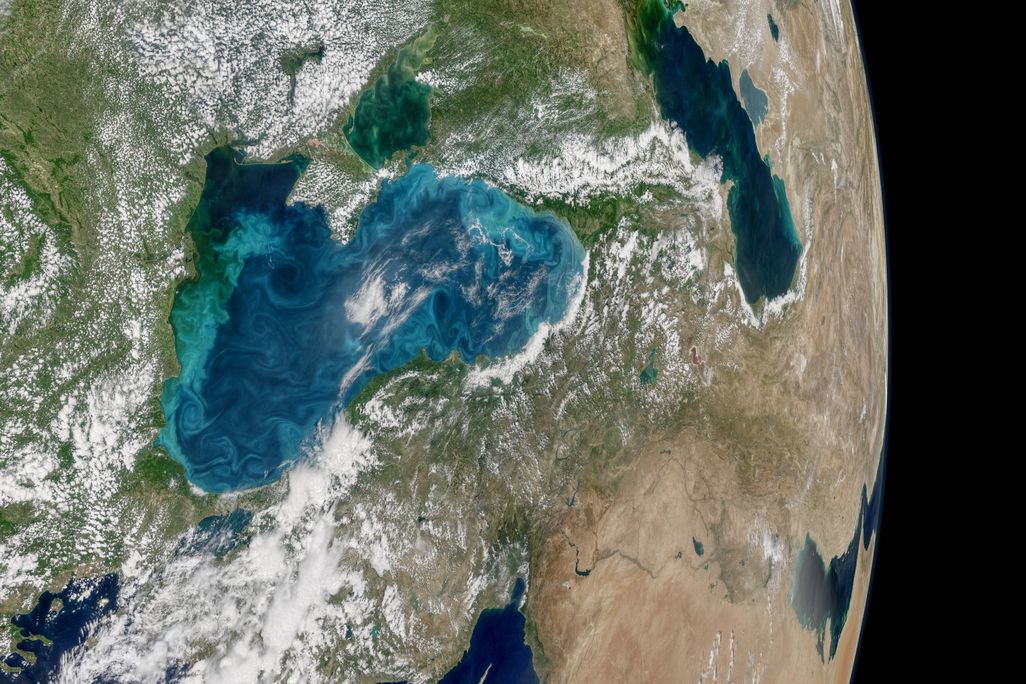Black Sea Swirl
