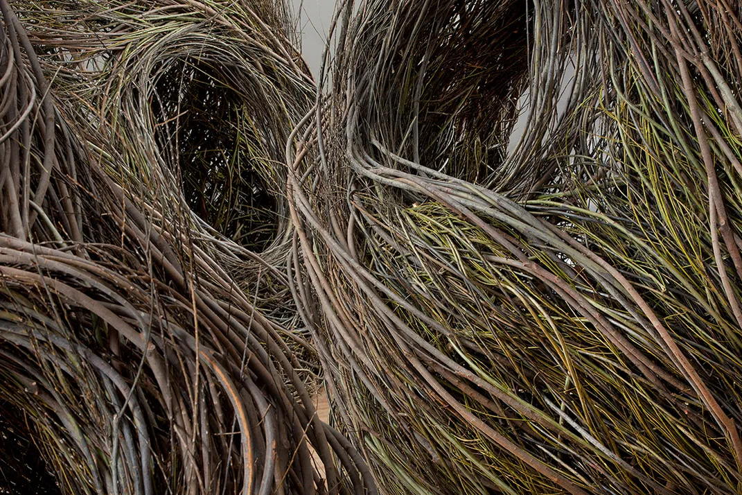 Shindig by Patrick Dougherty, 2015