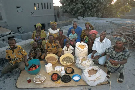 Two wives alternate the responsibility for preparing meals, which involves making the fire, grinding the grain and preparing ngome, breakfast cakes of pounded millet or rice, salt and oil. The cakes are also sold.